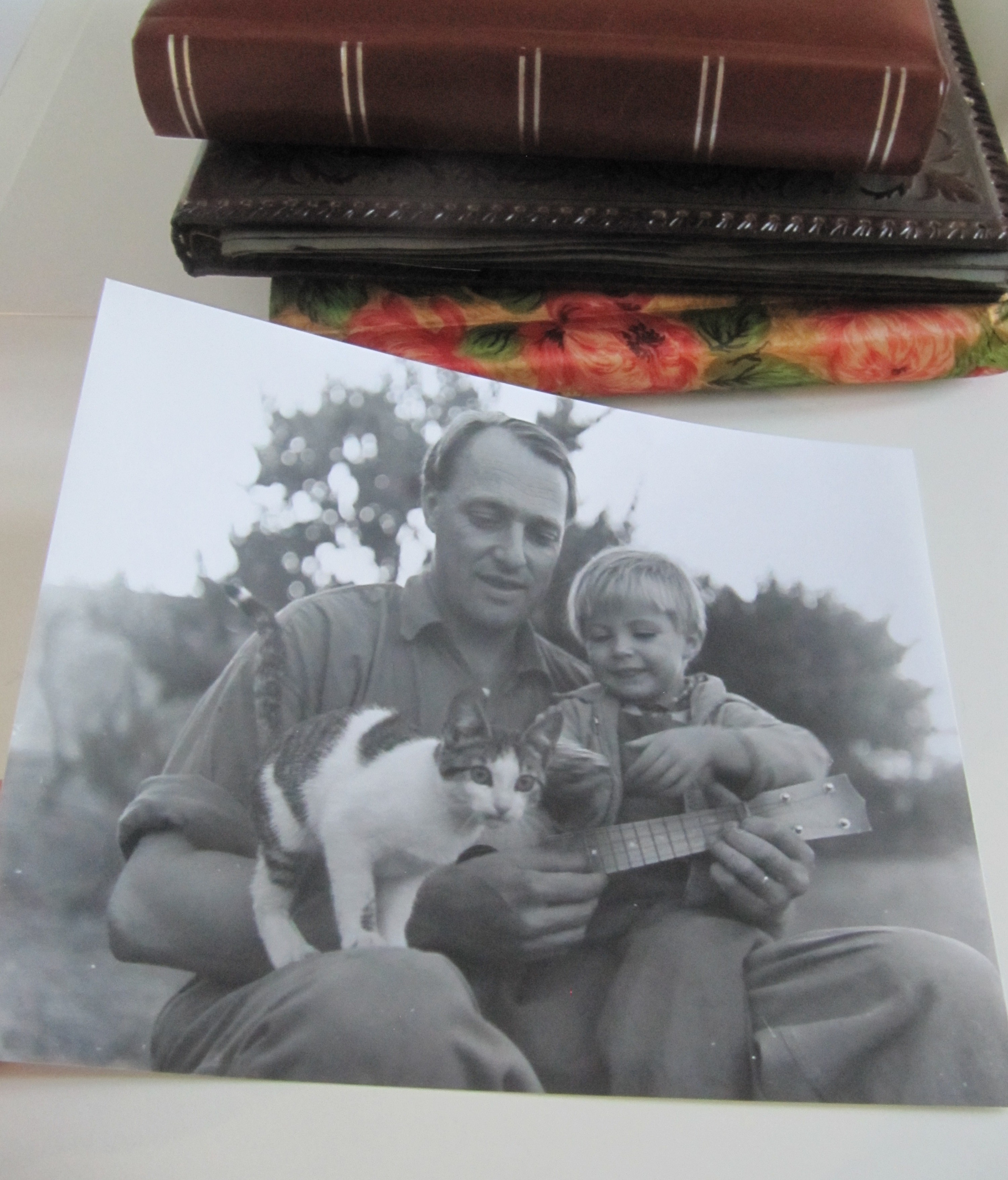 Asger Jorn ad Albisola, Centro Studi Casa Jorn, donazione Fondation Guillaume Corneille.