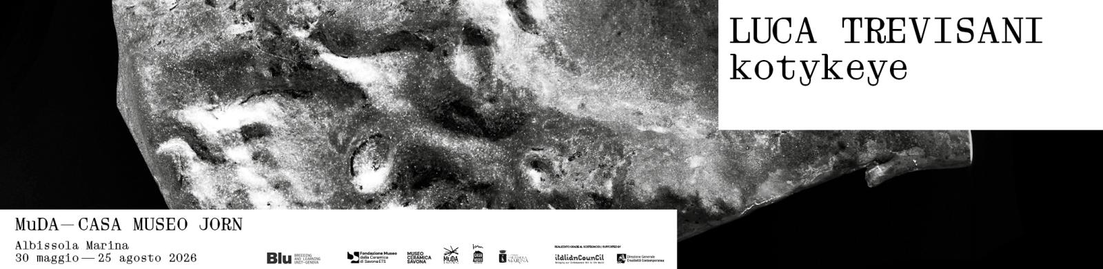 mostra_trevisani